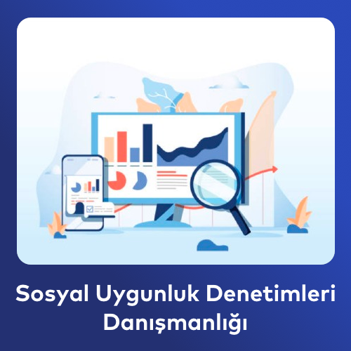 Sosyal Uygunluk Denetimleri Danışmanlığı